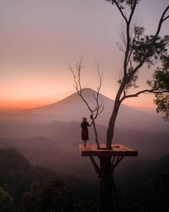Magic Hills Bali - Magical Eco-Luxury Lodge Selat المظهر الخارجي الصورة